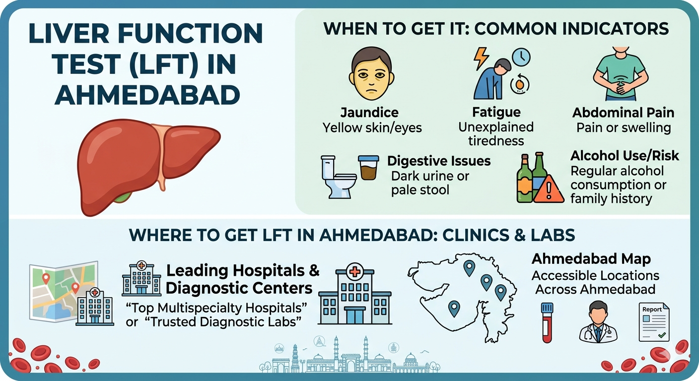 Liver Function Test in Ahmedabad | When to Get It & Where – Shanti Pathology Laboratory
